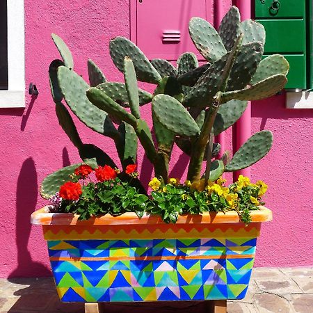 Night Galleria Holiday Home - Bed & Art In Burano - The Pink House 외부 사진